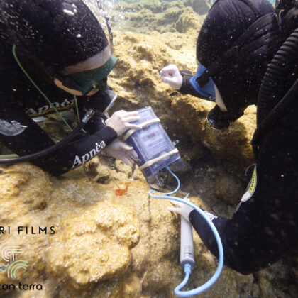 In situ conservation of artifacts