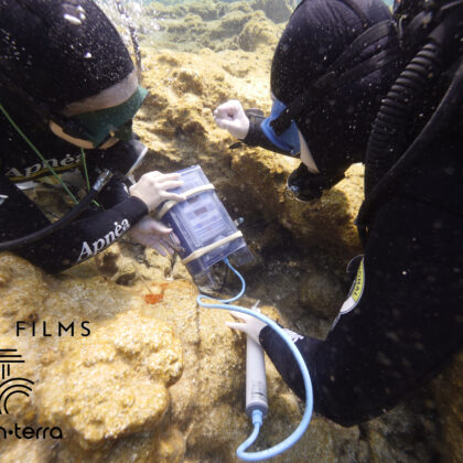 In situ conservation of underwater artifacts