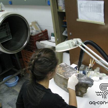 Conservation of Waterlogged Organic Finds